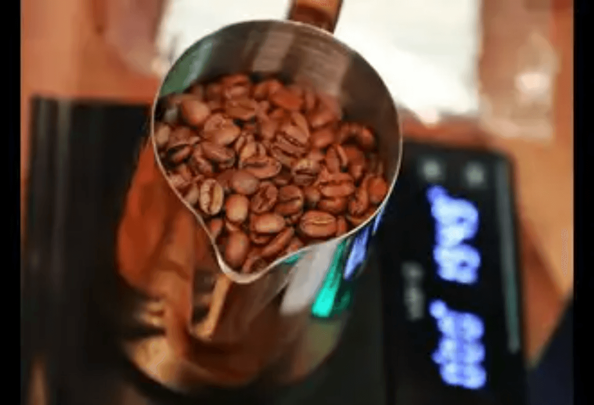 Farmers encouraged to grow coffee alongside arecanut cultivation in Dakshina Kannada