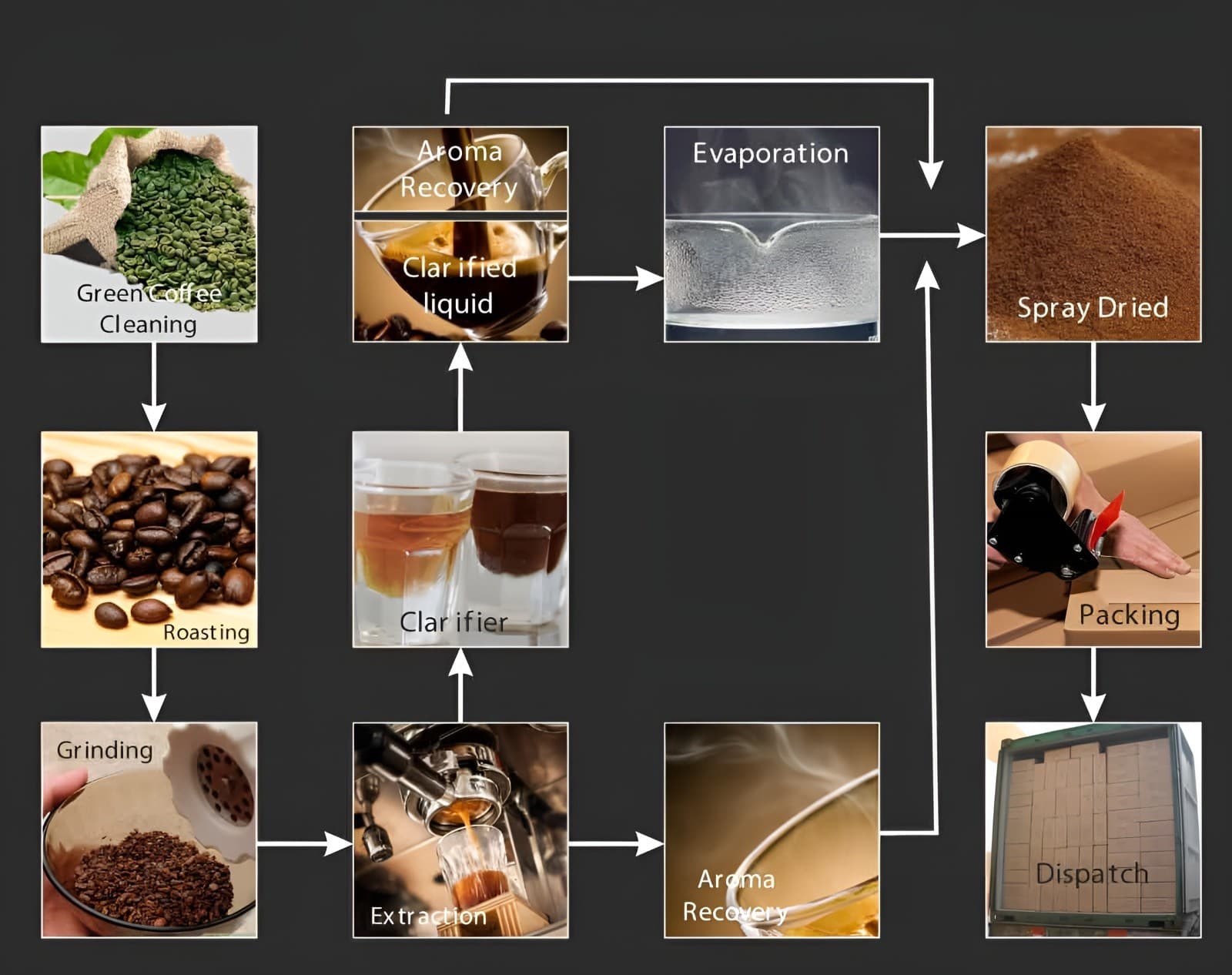 Coffee extraction and drying process equipment