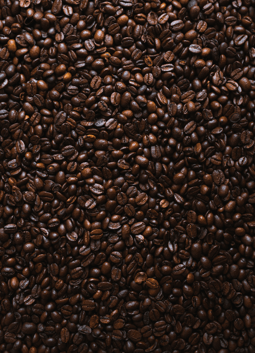 Coffee processing plant installation